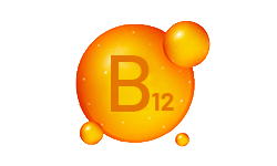 vitamin-b12