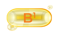 thiamine-vitamin-b1