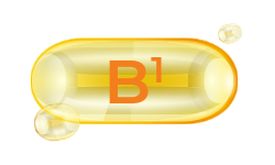 thiamine-b1