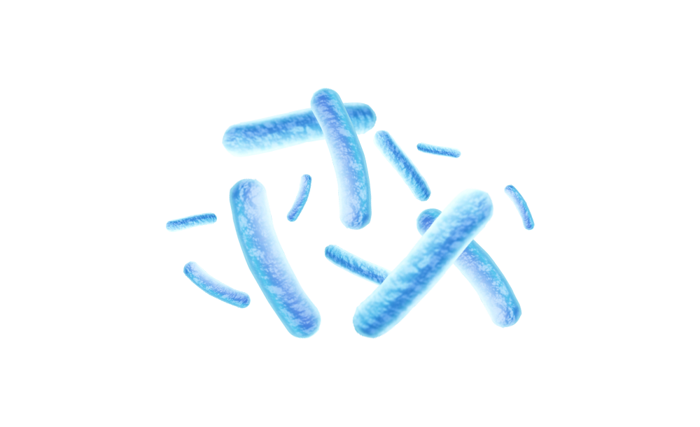 lactobacillus-acidophilus